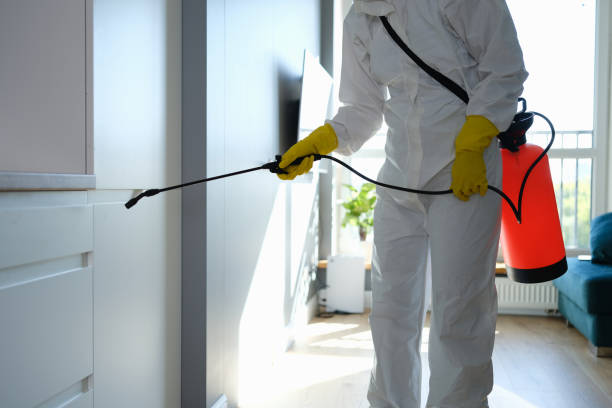 Best Mold Testing and Inspection Services in Amsterdam, NY